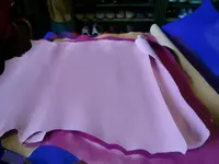 CIMG7110.webp