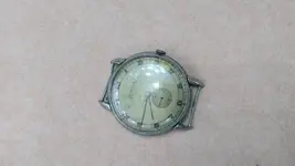 Leo hallazgo cara.webp