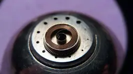 Leo detalle espiral.webp