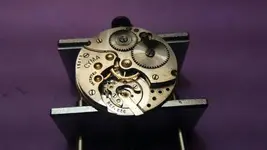 Cyma en camilla.webp