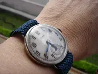 Cyma wristshot.webp