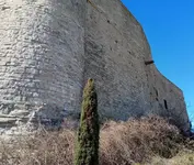 MONTFALCO 9.webp