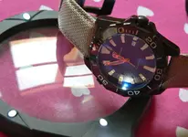 P1050440.webp