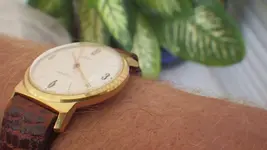 IMGP3060.webp