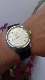 20180413_104257.webp