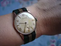 DSC03944.webp