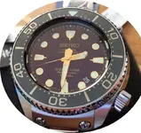 fullsizeoutput_d3.webp