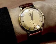 Omega-Bumper.webp