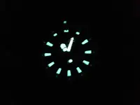 1030487.webp 1030487.webp