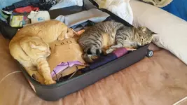 20160529_170605.webp