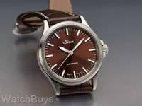 sinn 556.webp