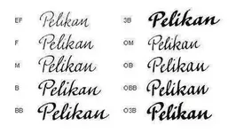 PelikanNibChart500.webp