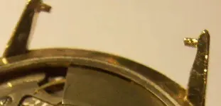 capturada2.webp capturada2.webp