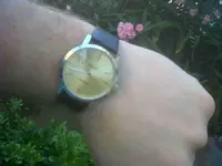 IMG01837-20130730-1342.webp