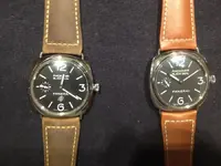 PAM00380 vs. PAM00183.webp PAM00380 vs. PAM00183.webp