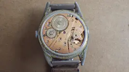 IMGP2067.webp