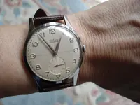 DSC00459.webp