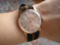 DSC00429.webp