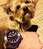 20180411_210621.webp