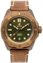 BronzeGreen.webp BronzeGreen.webp