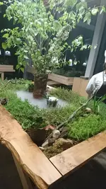 Aperitivo invernadero1.webp