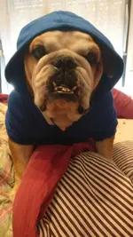 IMG-20180326-WA0005.webp