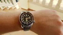 41975659272_d7c5abc774_z.webp