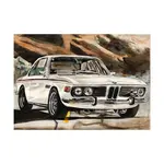 M BMW 30CS.webp