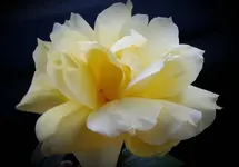 2018-05-05 21.32.39.webp