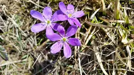 20180417_140119.webp