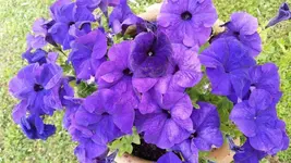 20180511_100945.webp