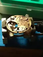 IMG_20180321_073725999.webp IMG_20180321_073725999.webp