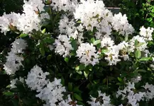 20180506_180321.webp