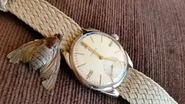 20180505_165826.webp