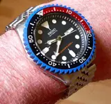 P1050511.webp