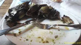 20180420_152559 (Copy).webp 20180420_152559 (Copy).webp