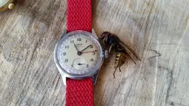 20180507_110720.webp