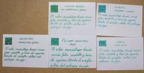 IMG_3459.webp IMG_3459.webp