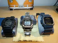 P1050736.webp