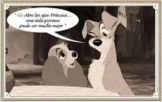 dama9.webp dama9.webp