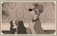 dama13.webp dama13.webp