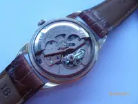 P1010315.webp P1010315.webp