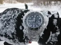 deepsea snow.webp