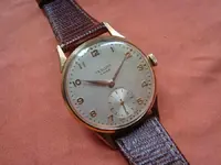 002 (Large).webp