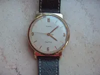 w 016 (Large).webp
