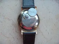 w 019 (Large).webp