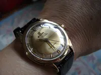 DSC00529.webp
