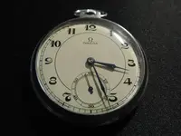 DSCN4745.webp