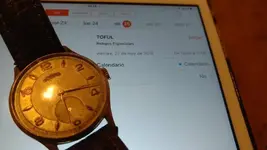 ogma_8.webp ogma_8.webp
