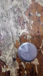 IMAGE 2018-05-25 22:58:28.webp
